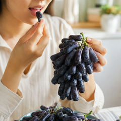 Sweet Sapphire grapes with crunchy elongated berries