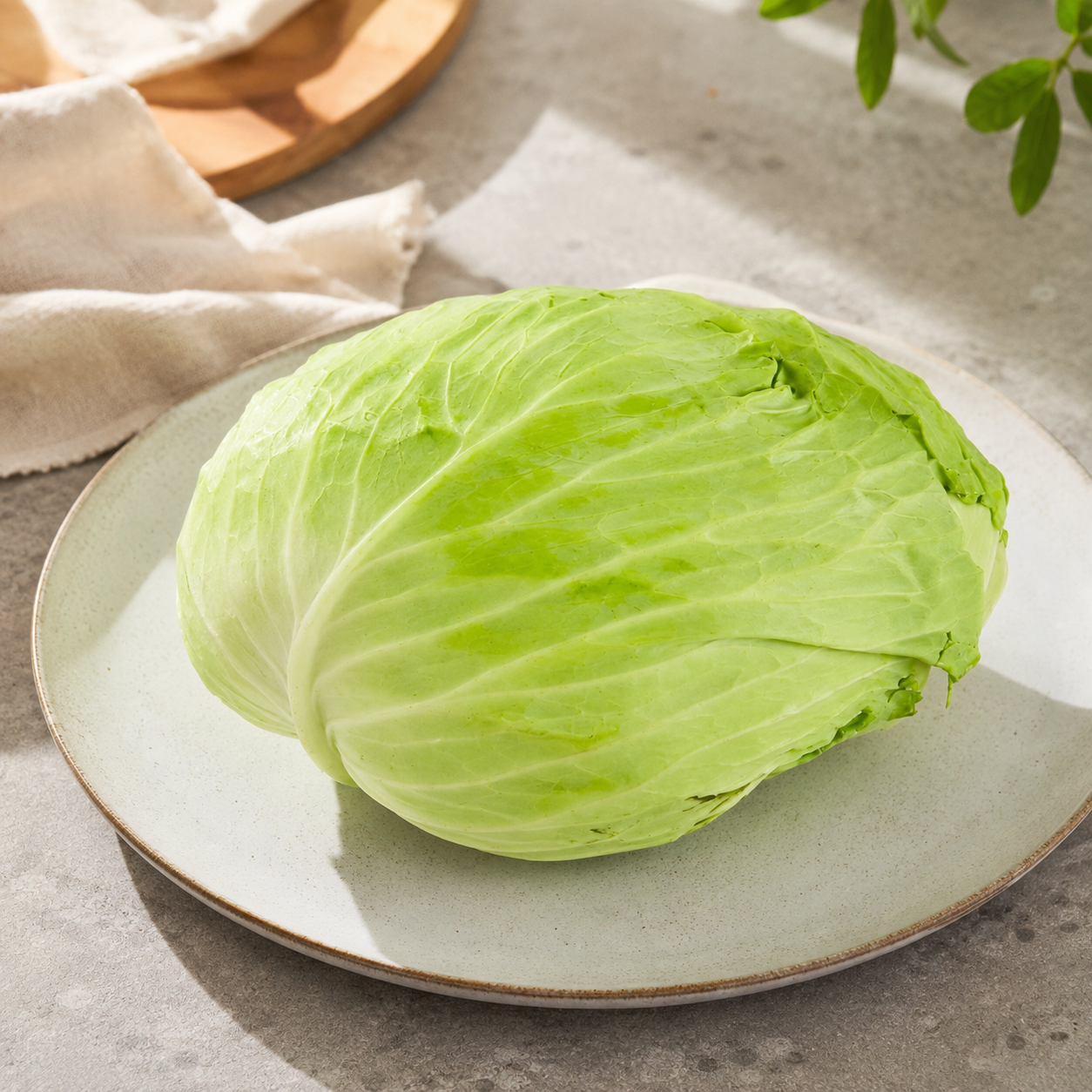 Taiwan cabbage 高麗菜 for 手撕包菜 and Taiwanese-style cooking