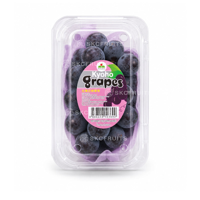 Taiwan Kyoho Grapes with large purple black berries

