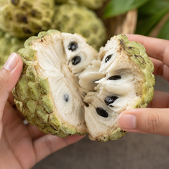Taiwan sugar apple fruit with creamy sweet flesh
