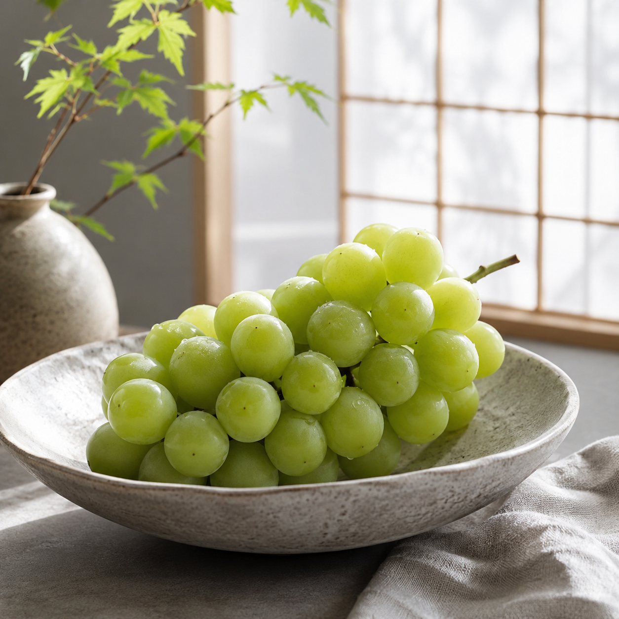 Takumi no Budo Shine Muscat grapes in 2 bunch gift box