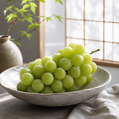 Takumi no Budo Shine Muscat grapes in 2 bunch gift box