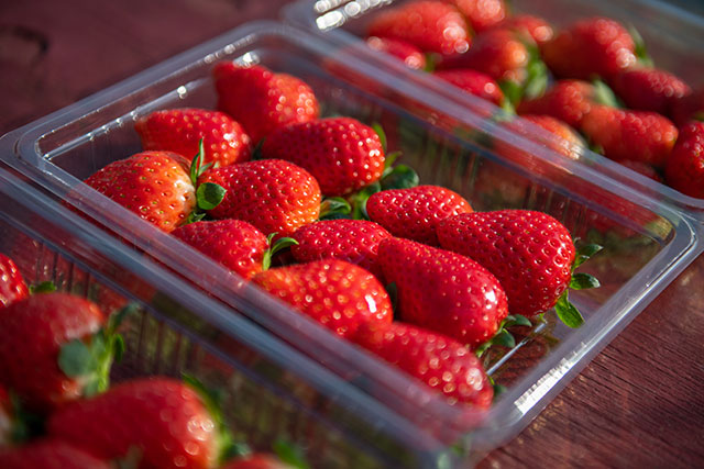 Tochiaika strawberry with sweet low acid flavour and juicy bite
Japanese red strawberry photo showing T-CHAN ICHIGO packaging