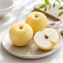 Tottori Shinkansen pear suitable for Japanese fruit gifting