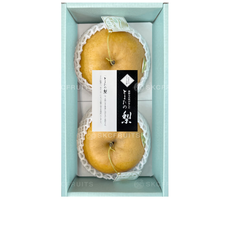 Toyota Pear from Aichi Japan with large juicy Japanese pear fruit