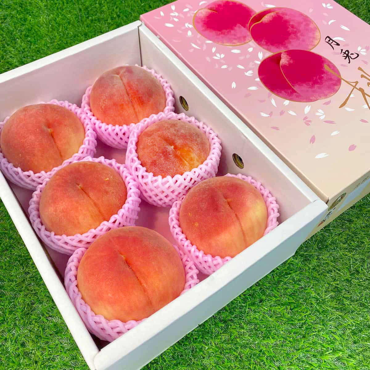 Six piece Tsuki Usagi Japanese white peach box from Nagano Japan