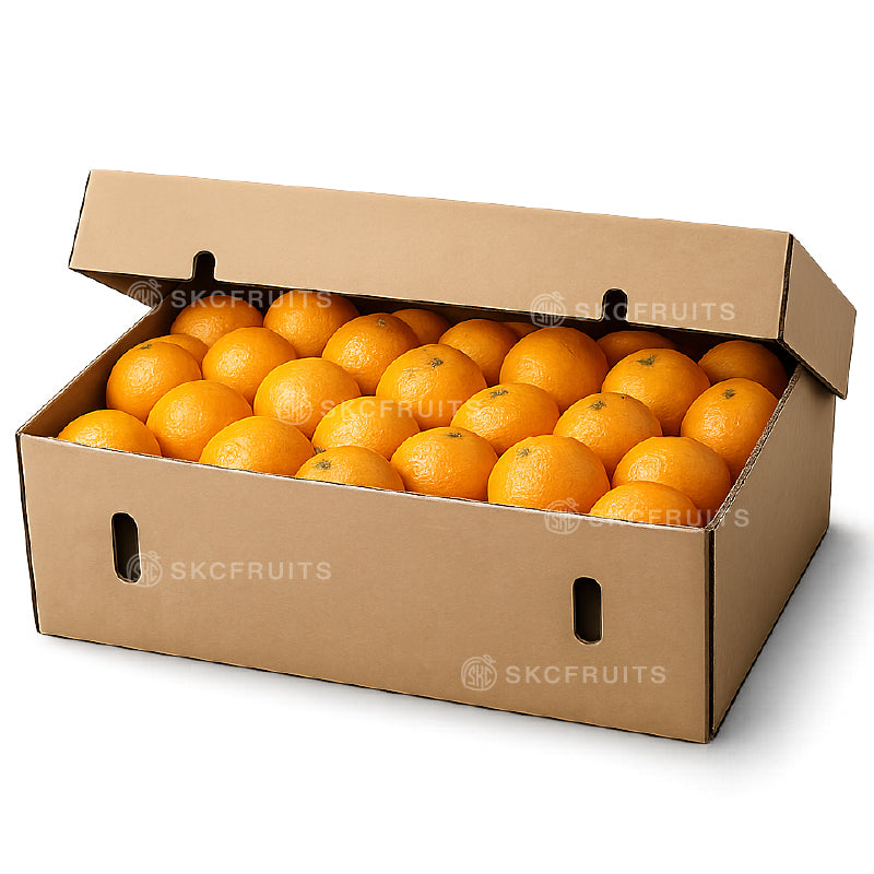 Fresh Valencia oranges in carton for juice supply in Singapore
