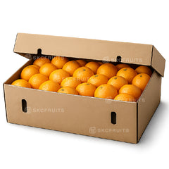 Fresh Valencia oranges in carton for juice supply in Singapore