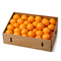 Valencia Orange sold in Singapore by SKC Fruits