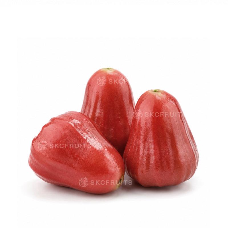 Water apple wax apple fruit with crisp juicy flesh