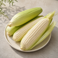 White vs yellow corn comparison with fresh white sweet corn kernels