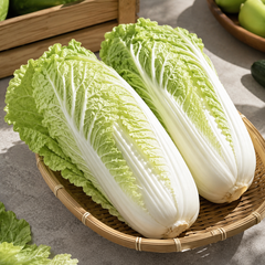 Wombok long cabbage for stir-fries steamboat kimchi and everyday cooking