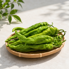 Wrinkled green chilli from China for pan-fried dishes sauces and condiments