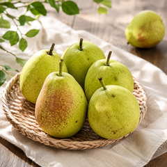 Fragrant pear fruit with crisp juicy pale flesh