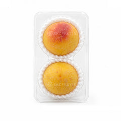 Yamagata Golden Plum from Japan with golden-yellow skin