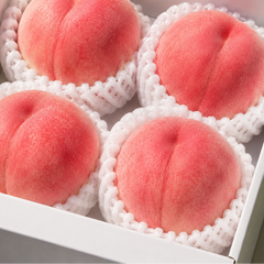 Yamanashi peach farm Daitouryo Japanese peach gift box