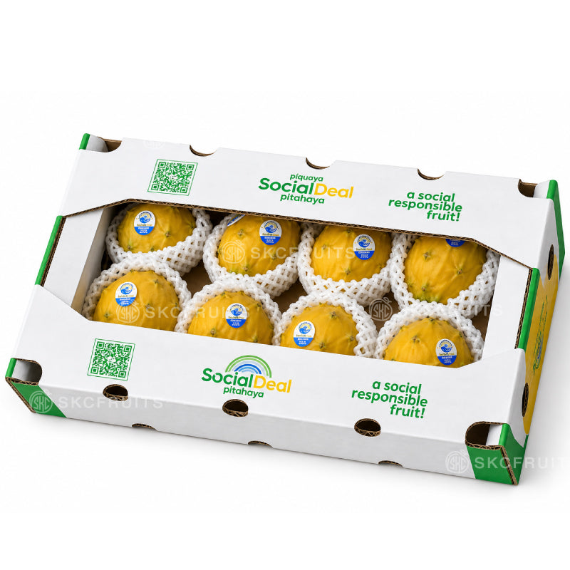 Yellow Dragon Fruit packaging carton with fruit du dragon from Ecuador