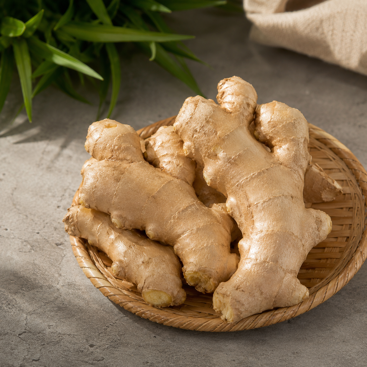 Young vs old ginger comparison for Chinese Malay Thai and Indian recipes