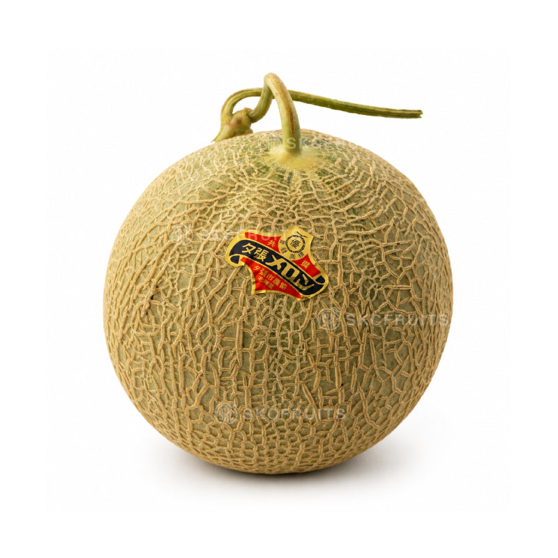 Yubari King Melon with premium netted rind from Hokkaido Japan
