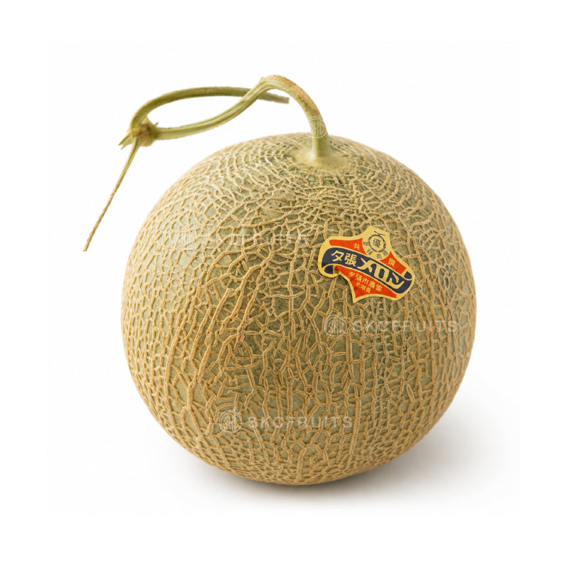 Yubari King Melon with premium netted rind from Hokkaido Japan
