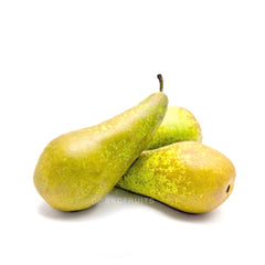 Conference Pear