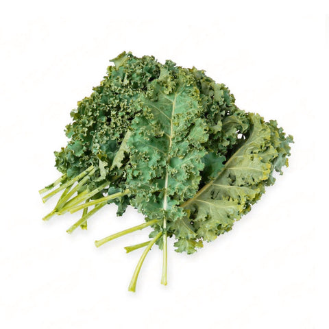 Curly Kale (羽衣甘蓝)