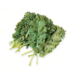 Curly Kale (羽衣甘蓝)