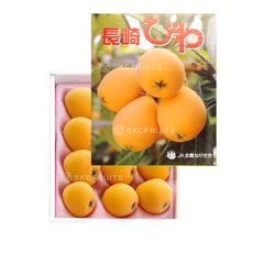 Japanese Nagasaki Biwa Loquats