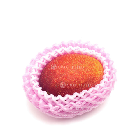 Miyazaki Kanjuku Mango