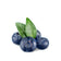 products/Jumbo-Blueberries.jpg