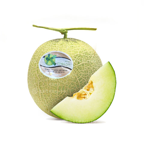 Korean Musk Melon