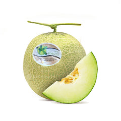 Korean Musk Melon