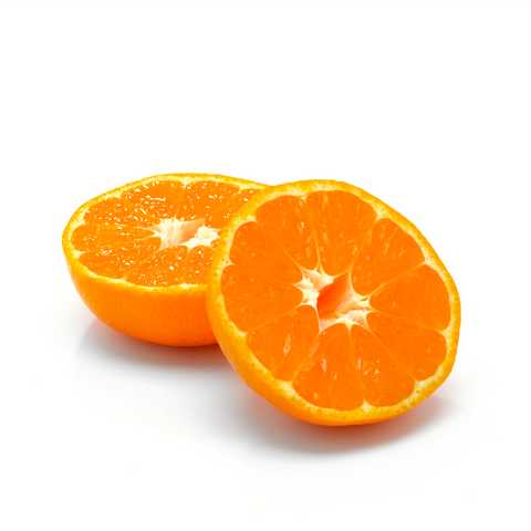 Japanese Setoka Mikan