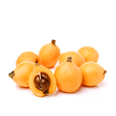 Japanese Nagasaki Biwa Loquats