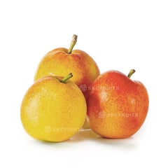 Apple pear hybrid Papple Red Pear with red orange blush
