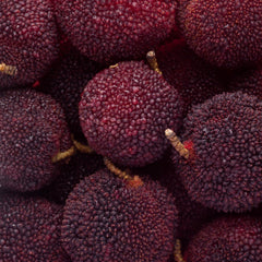 Yumberry waxberry fruit for chilled fresh eating and juices