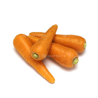 Australia Carrot 红萝卜 with fresh firm orange roots