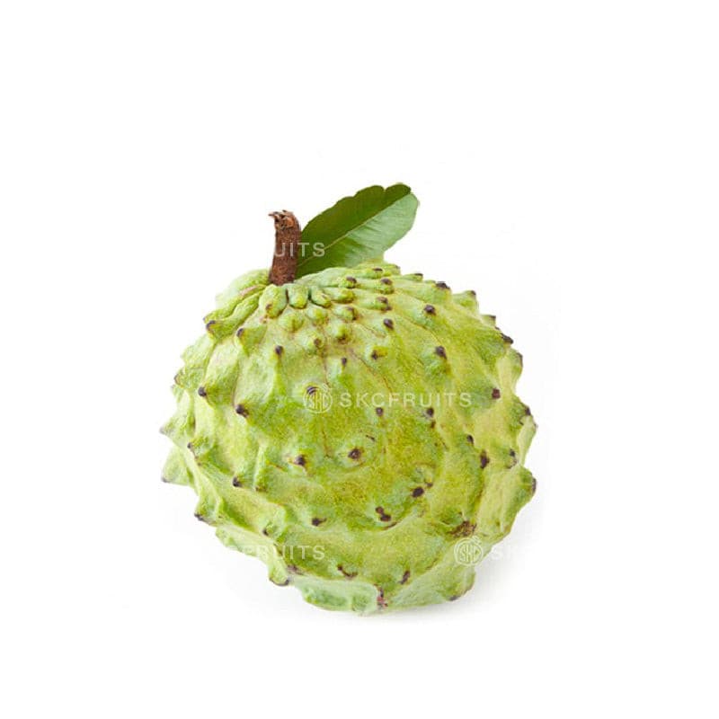 Australia Custard Apple for SKC Fruits Singapore
