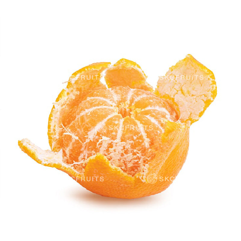 Close-up of Australia Phoenix Mandarin Orange showing juicy sweet citrus flesh
