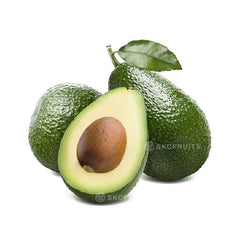 Australian Shepard avocado with green skin and creamy flesh
