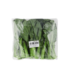 Baby kailan also known as kai lan vegetable and baby gai lan