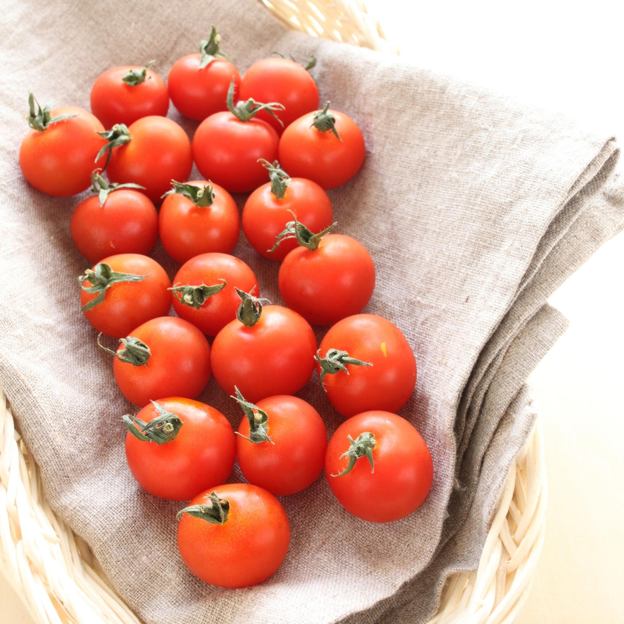 Baby tomatoes and small tomatoes on the vine for fresh serving and everyday recipes