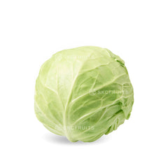 Beijing Round Cabbage with compact green head