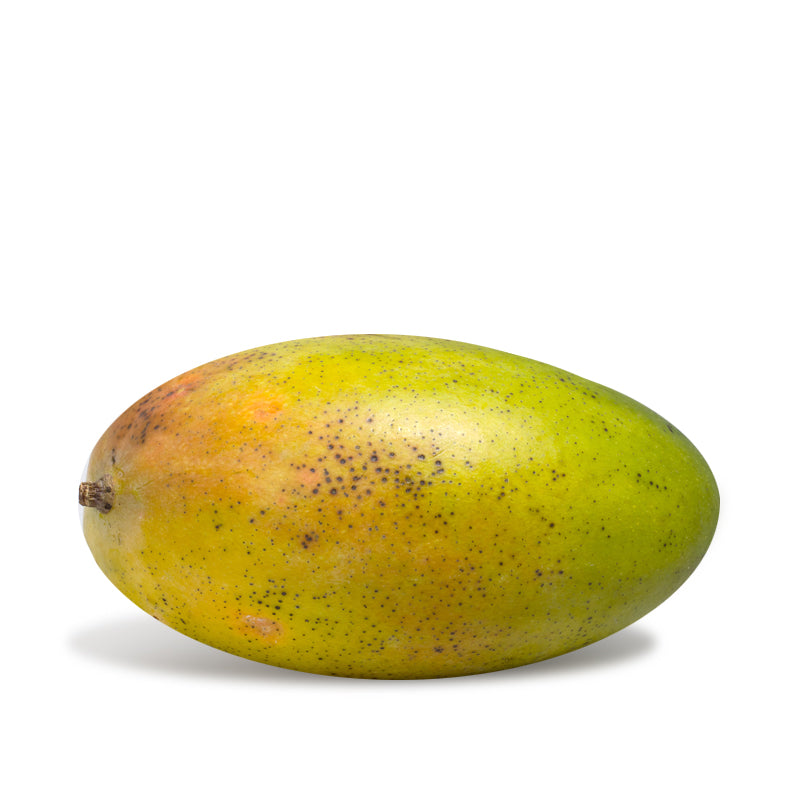 Big Golden Mango from Thailand with sweet juicy golden flesh