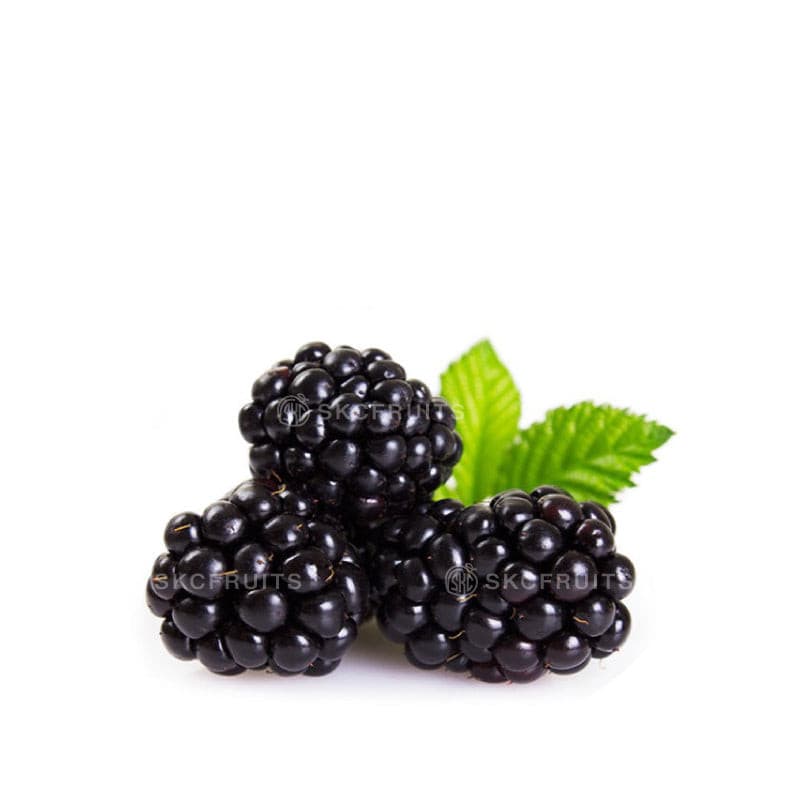 Blackberry fruit Singapore sweet tart fresh berries
