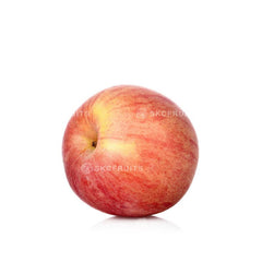China Fuji Apple 3 pcs sold in Singapore by SKC Fruits