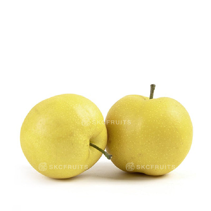 China Golden Pear also known as Chinese yellow pear