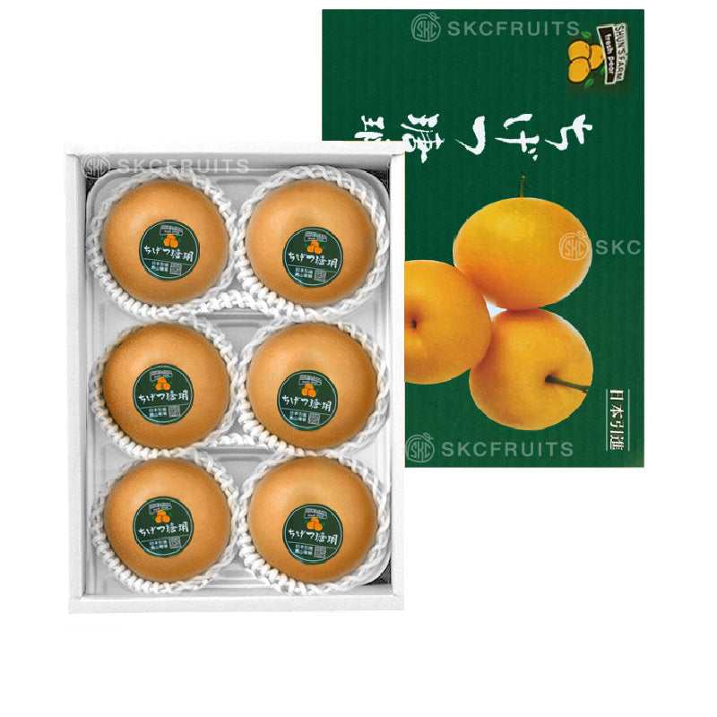 China Tangyue Pear also known as 瑭玥梨 and nashi pear