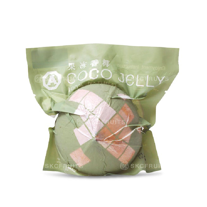 Coconut jelly SG chilled dessert served in coconut husk
