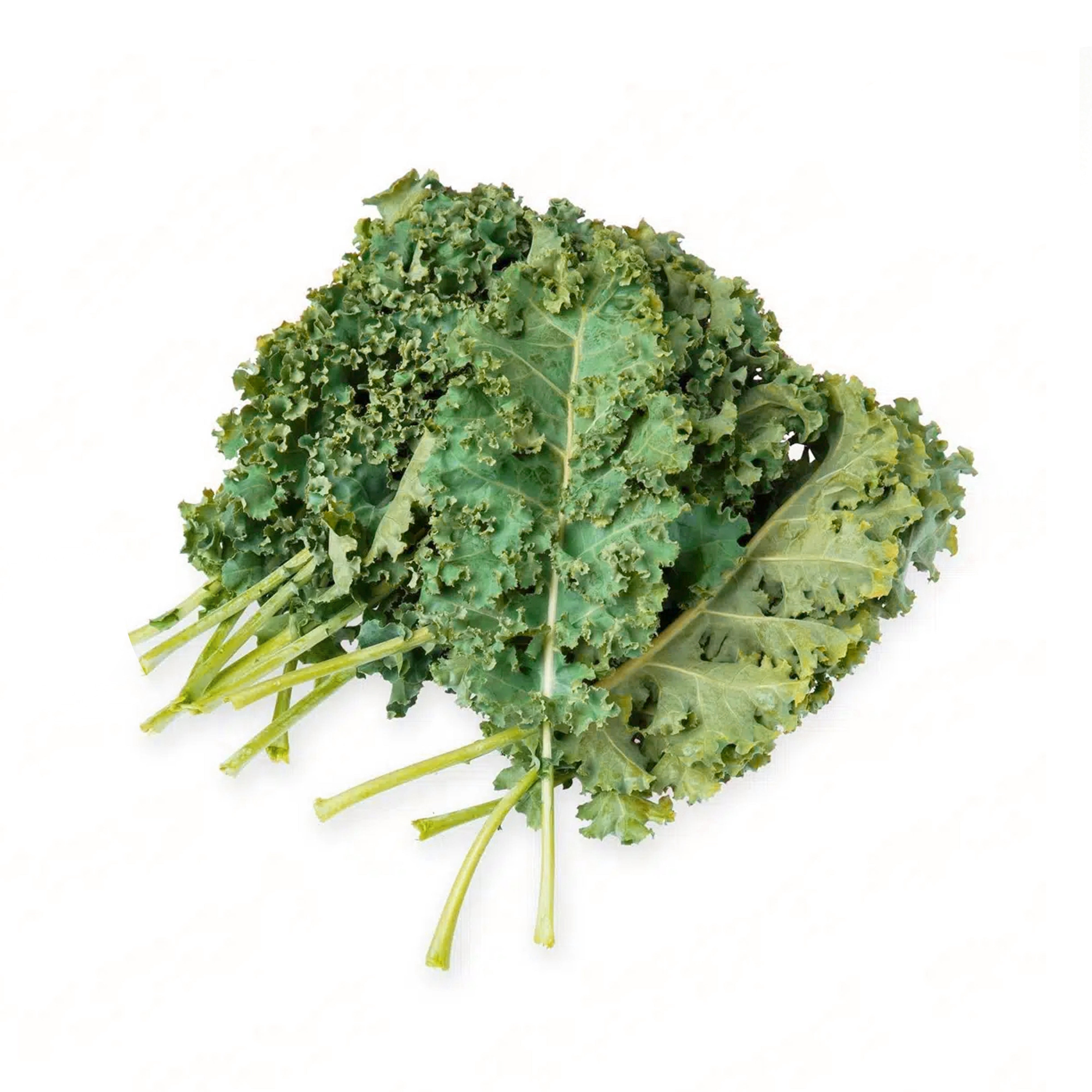 Curly kale vegetable for salads smoothies soups and stir-fries